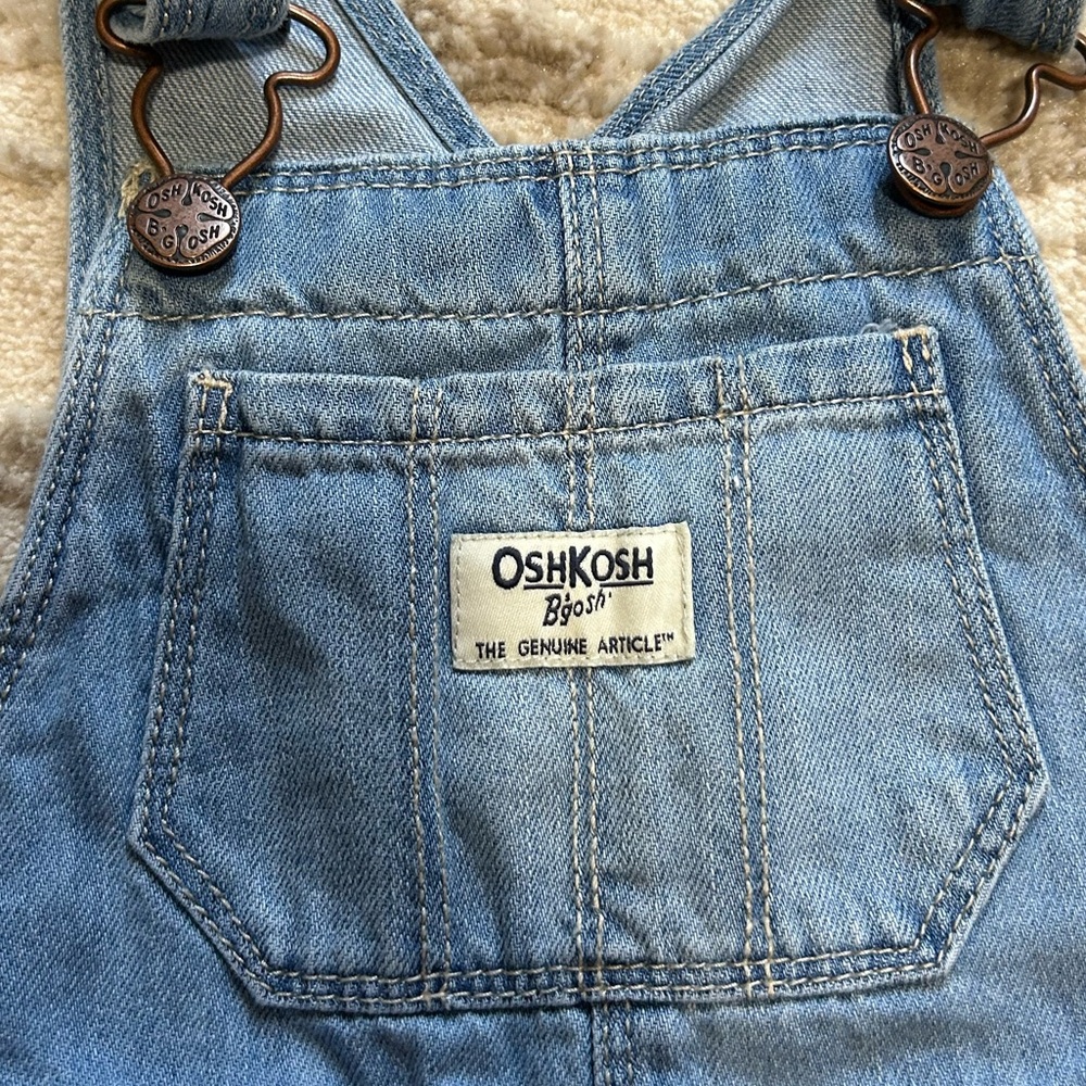 Oshkosh B’gosh Floral Patchwork Overalls in Size 2T - Picture 6 of 8